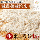 三七味噌の生米麹 4kg（1kg×4個） 減農薬栽培米 福井県産 コシヒカリ4kg きぼうの米こうじ 味噌作り 甘酒 麹水 生米麹 国産米使用 米麹 ノンアルコール 無添加 甘酒 無添加 米麹 乾燥 米こうじ 国産 こめ麹 甘酒 乾燥麹 米 麹 こうじ水 あまさけ