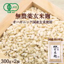 有機玄米乾燥こうじ 300g×2個 甘酒 米麹(米こうじ) 砂糖不使用 麹水 無農薬 有機玄米 JAS認証<甘酒 麹 玄米 玄米甘酒 無添加 濃縮 有機 玄米麹...