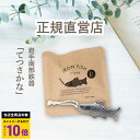 ＼エントリーでP10倍！／ 【日本製】 岩手県産 鉄魚 てつさかな 【便利な紐付き】 南部鉄器 鉄分 ...