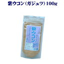 【メール便！送料無料】紫ウコン（ガジュツ）100g