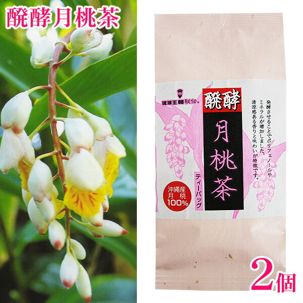 醗酵月桃茶 ティーバック 12袋入×2個 /沖縄産月桃100% 【SL】