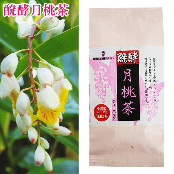 醗酵月桃茶 ティーバック 12g（12袋）　沖縄産月桃100%