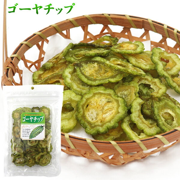 ゴーヤチップ 塩味60g　/ゴーヤ チップ ゴーヤーチップス 苦瓜