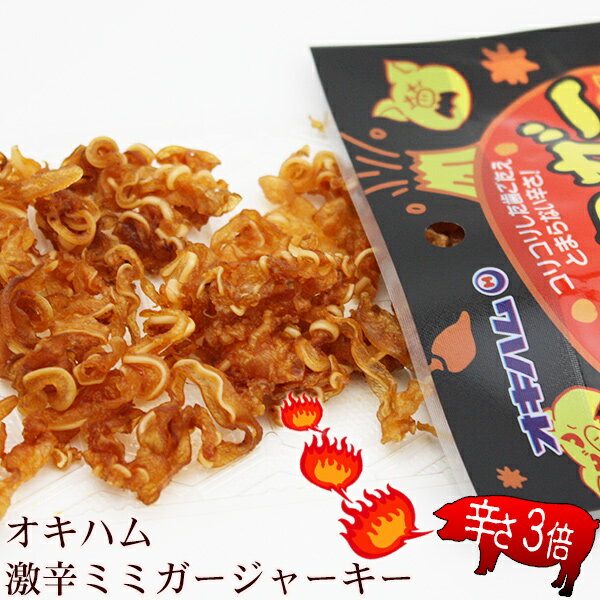 �����ϥࡡ��ɥߥߥ������㡼������c23g