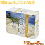 【送料無料】雪塩ちんすこう ミルク風味 12個入×5箱セット │沖縄お土産 沖縄土産 おみやげ 人気のお菓子 南風堂│