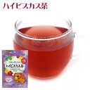 ハイビスカス茶 2g×3包 /シーサー印 ハイビスカスティー