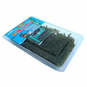 沖縄産 海ぶどう 生 100g　ドレッシング付き　（常温発送！冷蔵品と同梱不可）