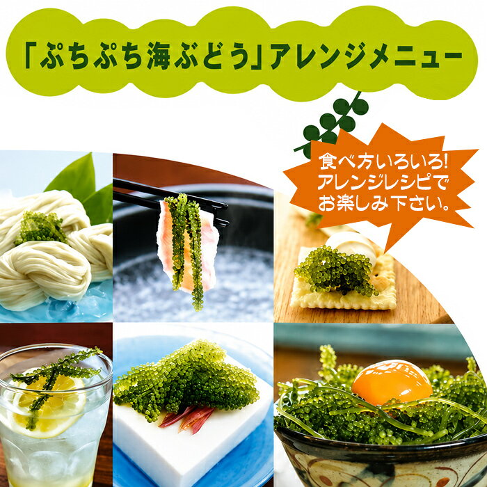 ふくらむぷちぷち海ぶどう 箱入り 50g　/沖縄産 塩水漬