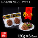 もとぶ牧場 ハンバーグギフト 120g×6パック