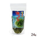 海ぶどう 塩水漬け 茎付き 24g (平良商店)