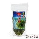 海ぶどう 塩水漬け 茎付き 24g×2袋 (平良商店) 【MB】