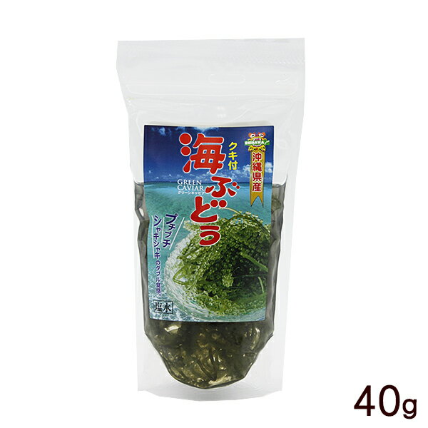 名称 海ぶどう 内容量 【海ぶどう】40g【たれ】10g 原材料 【海ぶどう】海ぶどう(沖縄県産)、食塩 【たれ】醸造酢、糖類（果糖ぶどう糖液糖、砂糖）醤油、食塩、シークヮーサー果汁（沖縄県産）、鰹節エキス、みりん風調味料、酢酸ナトリウム、グリシン、調味料（アミノ酸等）、甘味料（ステビア）、香料、（原材料の一部に小麦、大豆を含む） 賞味期限 製造日より6ヶ月 保存方法 直射日光、高温多湿を避け、常温で保存 製造者 平良商店（沖縄県那覇市首里石嶺2-2-243） 配送方法