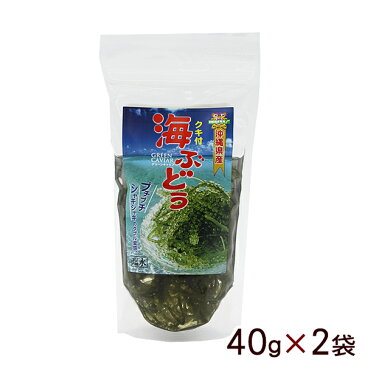 海ぶどう 塩水漬け 茎付き 40g×2袋 （平良商店） 【送料無料メール便】