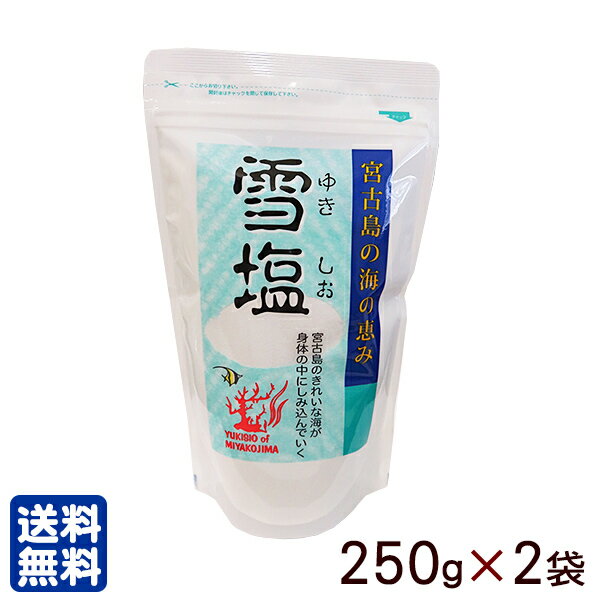 雪塩 250g×2袋 【送料無料レターパックプラス】　│沖縄の塩 宮古島の塩│のサムネイル