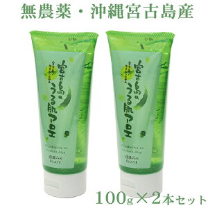 宮古島のうる肌アロエ 100g×2本セット【送料無料レターパック発送】　│アロエジェル アロエベラジェル 保湿ジェル