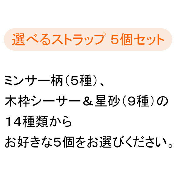 ���٤륹�ȥ�å� 5�ĥ��åȡ�/���줪�ڻ���SL��