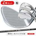【2本セット】ゴルフ クラブ ウェッジ カーボン 48度 52度 57度 2本セット 非適合 ダイナミクス ハイスピン ウェッジ 標準カーボンシャフト仕様 R ...