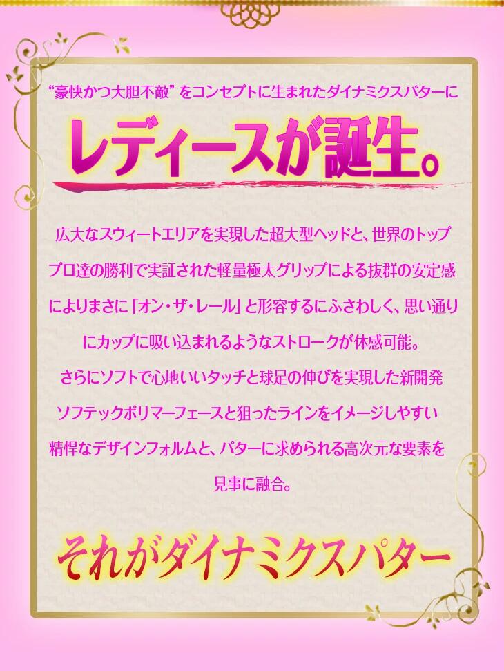【ダイナミクス】ゴルフ パター レディース マレット型 33インチ｜グリップ 太め ...
