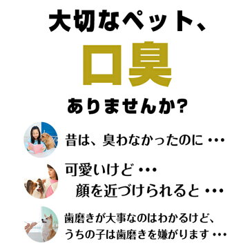 【国内送料無料】 ドクターアルファ デンタルケア ペット 歯磨き 次亜塩素酸 デンタルケア 口臭 歯石 口内除菌 スプレー 犬 猫 マウスクリーナ