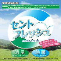 セントフレッシュ(安定化二酸化塩素製剤)500ml
