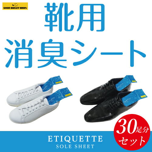 【国内送料無料】【レターパックライト対応】【2枚1組】【30セット】靴用消臭シート足靴消臭除菌縦50ミリ横180ミリ