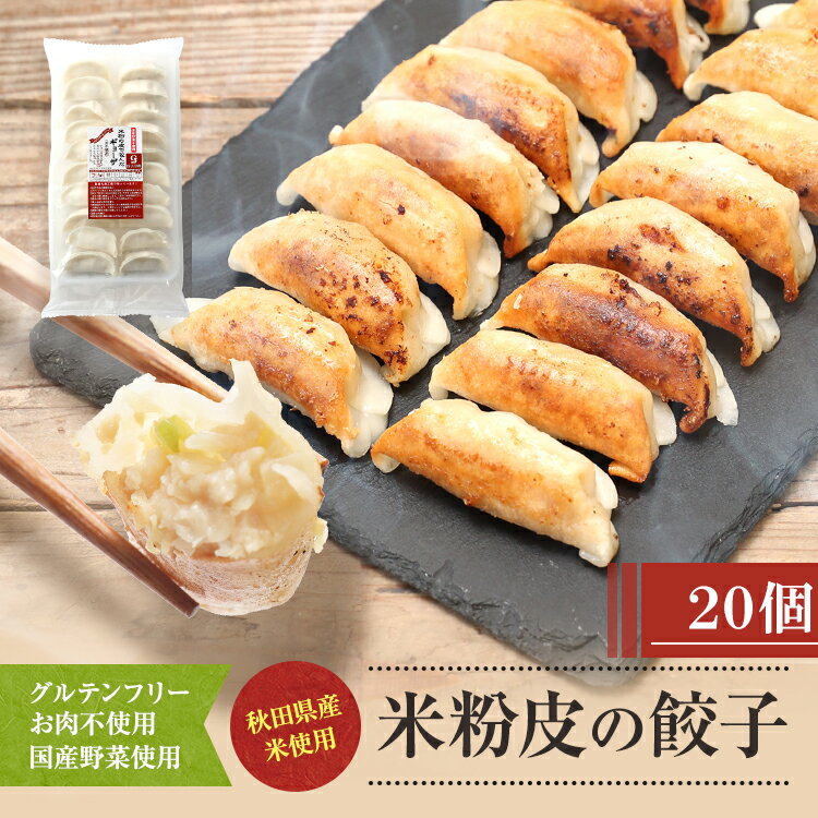 餃子 今流行りの米粉の皮で包んだギョーザ【肉なし】20個(単品)！野菜餃子 小麦 アレルギー 米粉 グルテンフリー 冷凍食品 冷凍餃子 お取り寄せ 大豆ミート ソイミート ベジタリアン ヴィーガン ベジタリアン 餃子