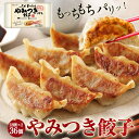 やみつき餃子 2トレー 36個入(18個×2) 冷凍食品 お取り寄せ 冷凍餃子 お試し ポイント消化 蒸し冷凍餃子 餃子 ギョ－ザ