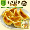 【新商品】グルテンフリー UMAUMA キッズ餃子カレー味 10個 トレー入り 餃子 ぎょうざ ギョウザ 小麦不使用 アレルギー 米粉 米粉餃子 肉不使用 安心 安全 大潟村 時短 育児 子育て お弁当 お取り寄せ お家時間 ポイント消化