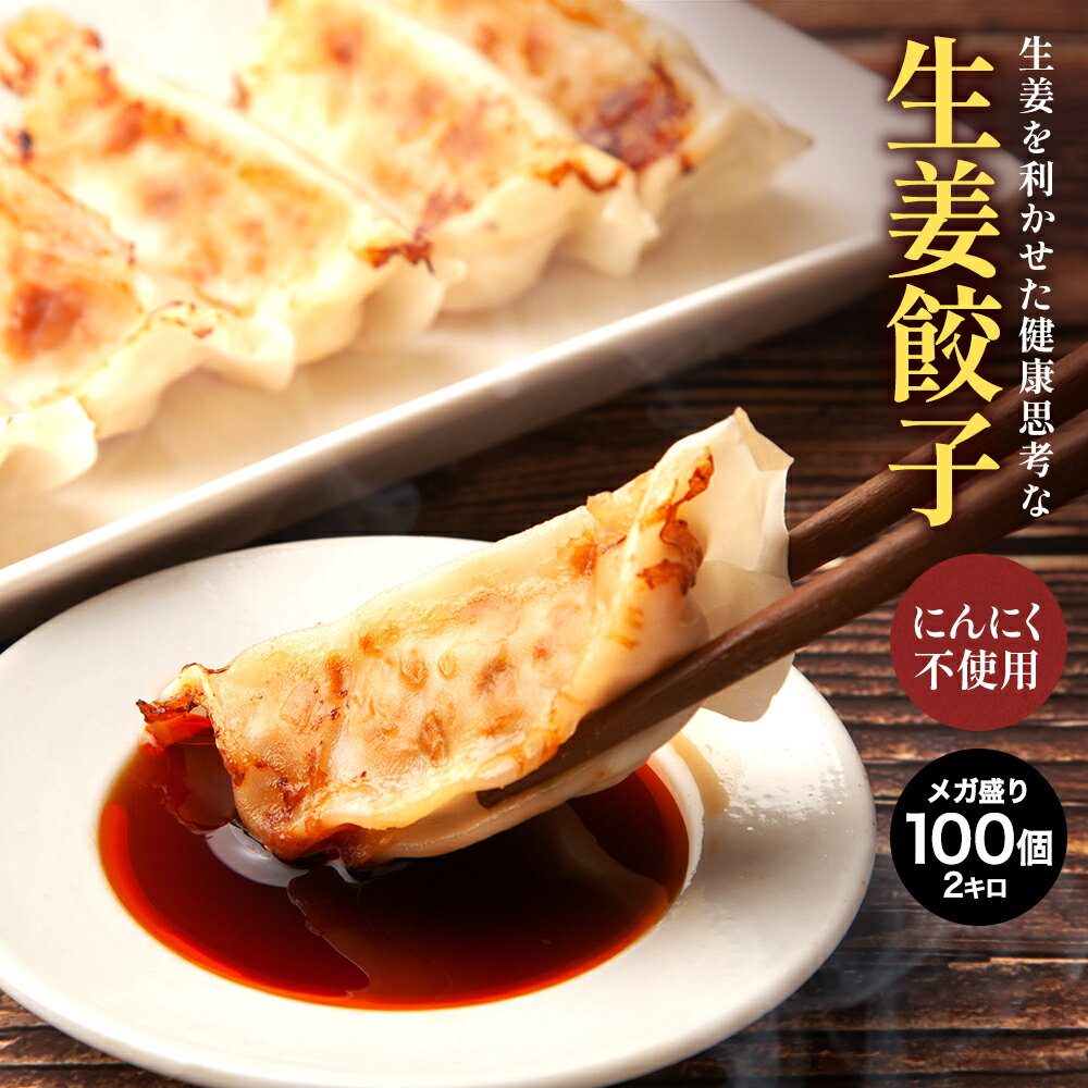 生姜餃子 20g×100個(2kg) にんにく不使用 にんにく無し 餃子計画 餃子 ぎょうざ ギョウザ 生餃子 冷凍餃子 冷凍生餃子 生姜 しょうが 冷凍食品 送料無料 国産素材 安心 業務用 大容量 お取り寄せ おかず お弁当