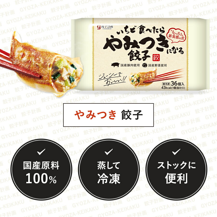 餃子計画 いちど食べたらやみつきになる餃子 720g * 2袋セット 冷凍餃子 冷凍食品 ぎょうざ 3