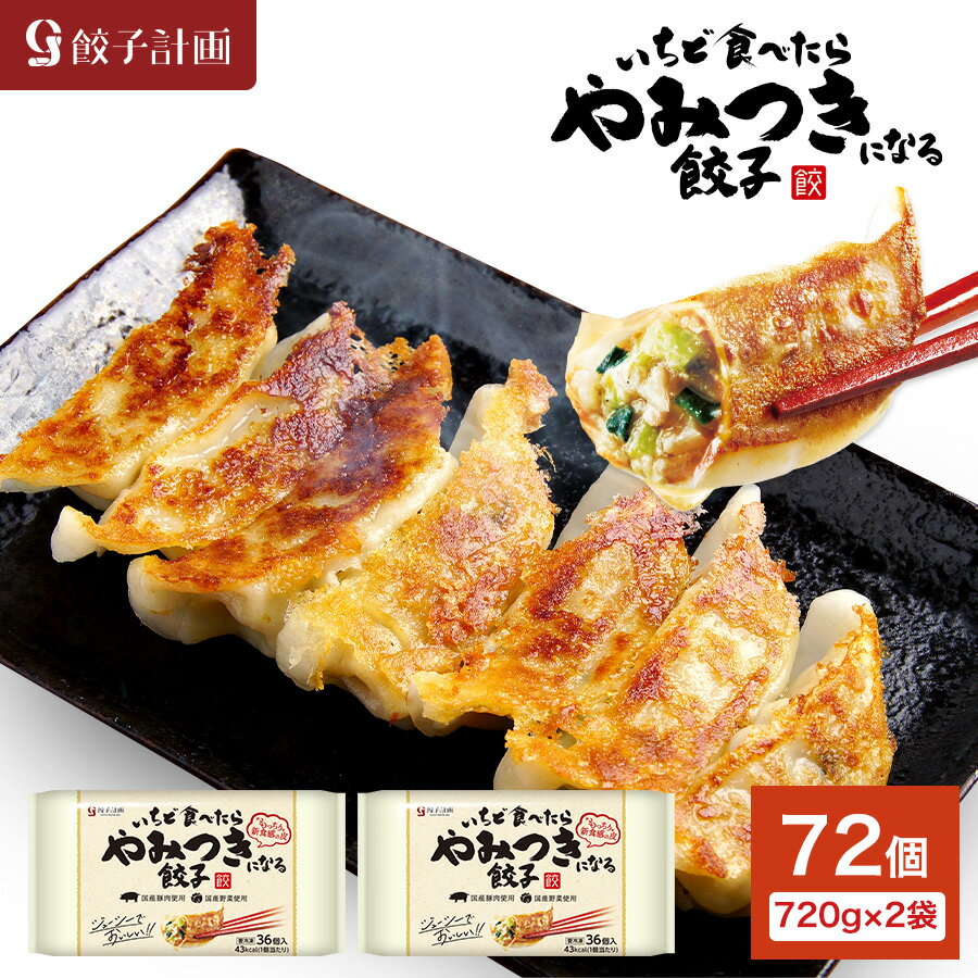 餃子計画 いちど食べたらやみつきになる餃子 720g * 2袋セット 冷凍餃子 冷凍食品 ぎょうざ 1