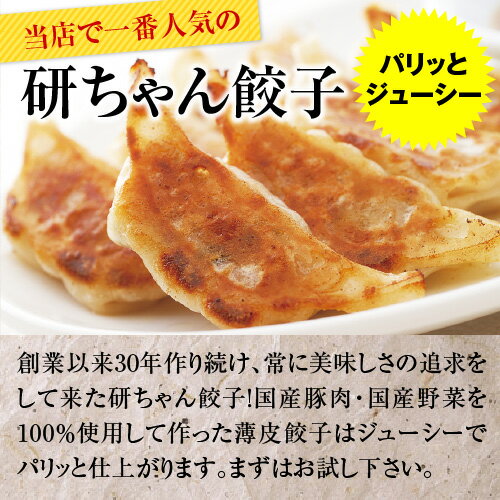 【10600】【初めての方限定★国産豚肉・国産野菜100％使用！パリッとジューシーな薄皮餃子！】【送料無料】研ちゃんお試しセット 餃子計画 大阪 浪花 お店 冷凍 生餃子 時短 お手軽 簡単 手羽先 焼くだけ お取り寄せ 餃子 冷凍食品 冷凍餃子