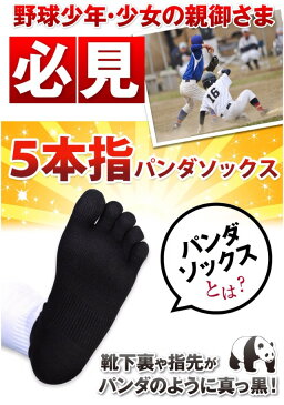 片足 左・右 単品 5本指 五本指 パンダソックス ハイソックス メンズ 少年用 21〜29cm 汚れが目立たない アンダーソックス ソックス 靴下 強い 破れにくい スポーツ アウトドア 野球 登山 ランニング ケンビー 日本製