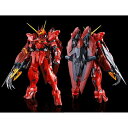 MG 1/100 RGX-00 テスタメントガンダム (機動戦士ガンダムSEED DESTINY ASTRAY)【新品】 ガンプラ マスターグレード プラモデル 限定 【宅配便のみ】