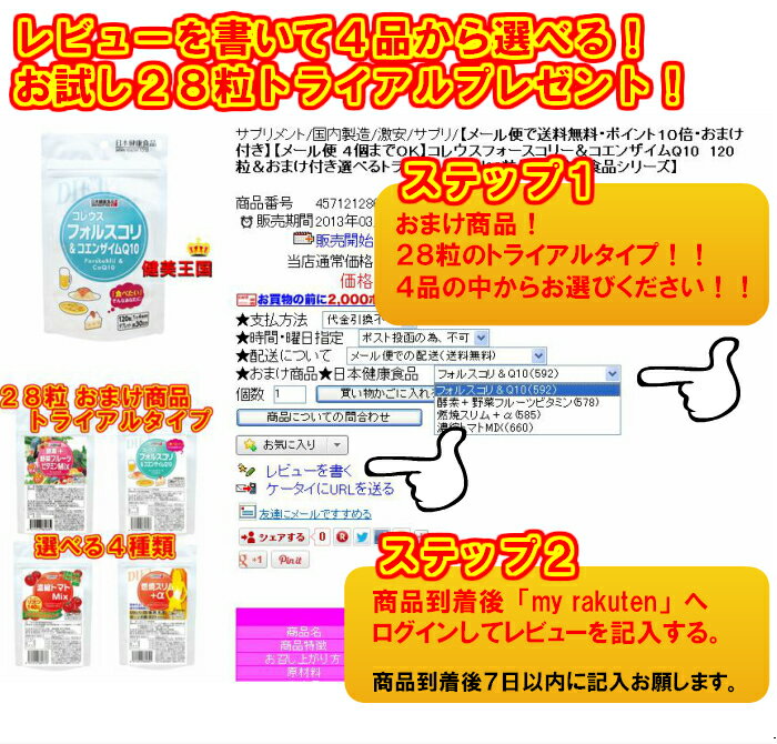 燃焼スリム＋α120粒＆おまけ付き 選べるトライアルサプリ 28粒 【日本健康食品シリーズ】サプリ サプリメント カプサイシン 燃焼系サプリ 健康食品 栄養補助食品 美容サプリメント Lカルニチン カルニチン ダイエット スリム 30日分