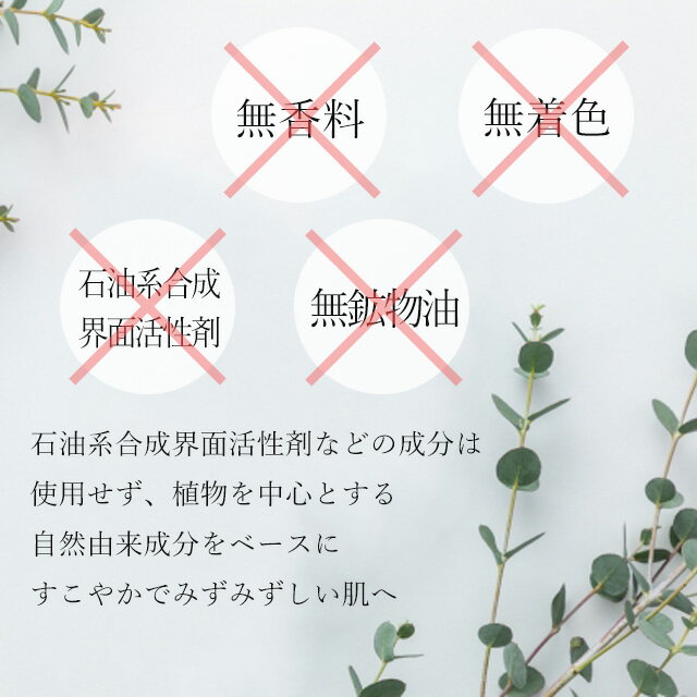 �ɥ������٥�� ������ �����륯��󥸥� �ʥᥤ����Ȥ�+��������130g��2�ܥ��åȡڥɥ������٥�ġۡ�����̵����