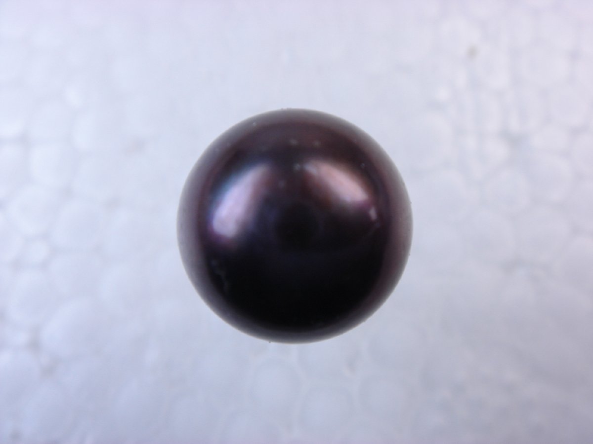 あこやブラック本真珠タイタック　9.1mm