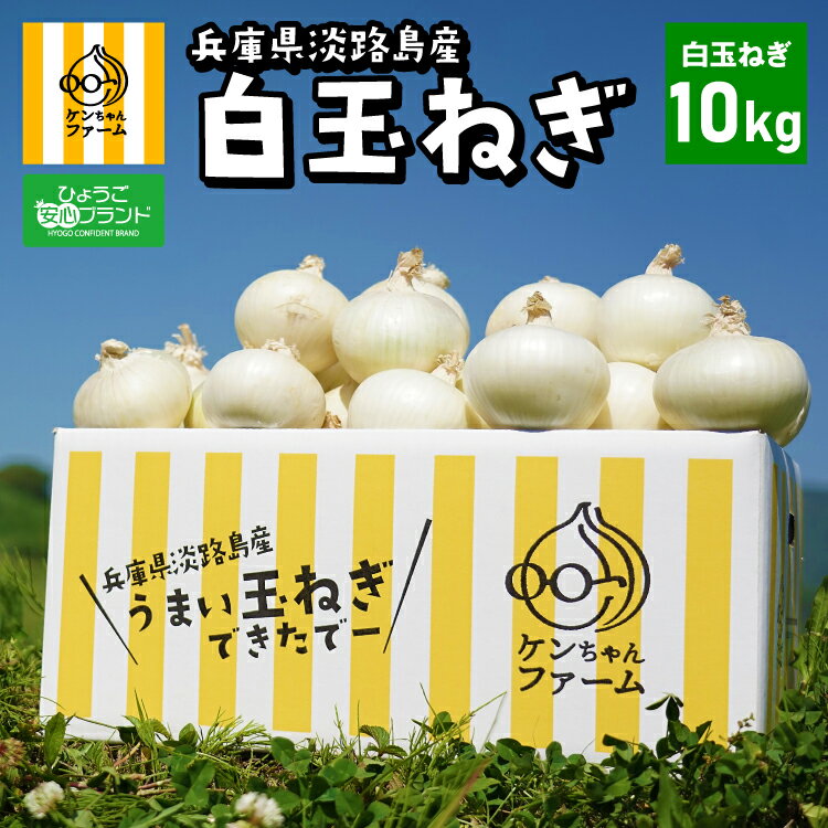 全国お取り寄せグルメ食品ランキング[たまねぎ(61～90位)]第63位