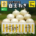 予約でポイント10倍！淡路島 白玉ねぎ 3kg ひょうご安心ブランド認証 | たまねぎ タマネギ 玉ネギ 玉葱 3キロ 白玉ねぎ　白たまねぎ　淡路島たまねぎ 兵庫県産 淡路産 淡路 国産 野菜 淡路島玉葱 産地直送 農家直送