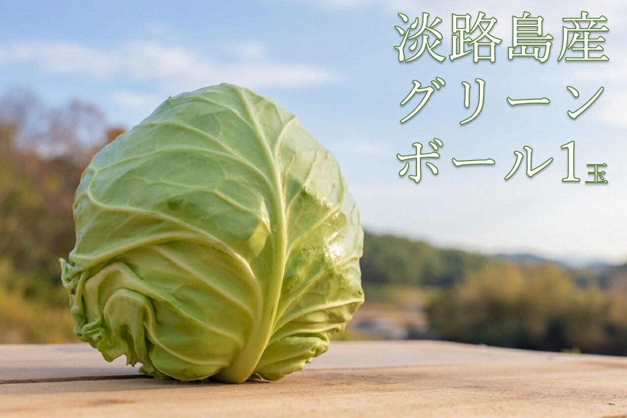 淡路島産 キャベツ グリーンボール 1玉