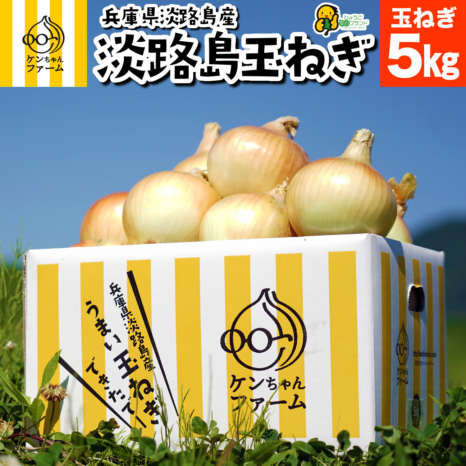 輝い 10kg 淡路島 ふるさと納税 兵庫県淡路市 あやたけ 池上農場の完熟たまねぎ 輝い 10kg 淡路島 ふるさと納税 兵庫県淡路市 あやたけ 池上農場の完熟たまねぎ
