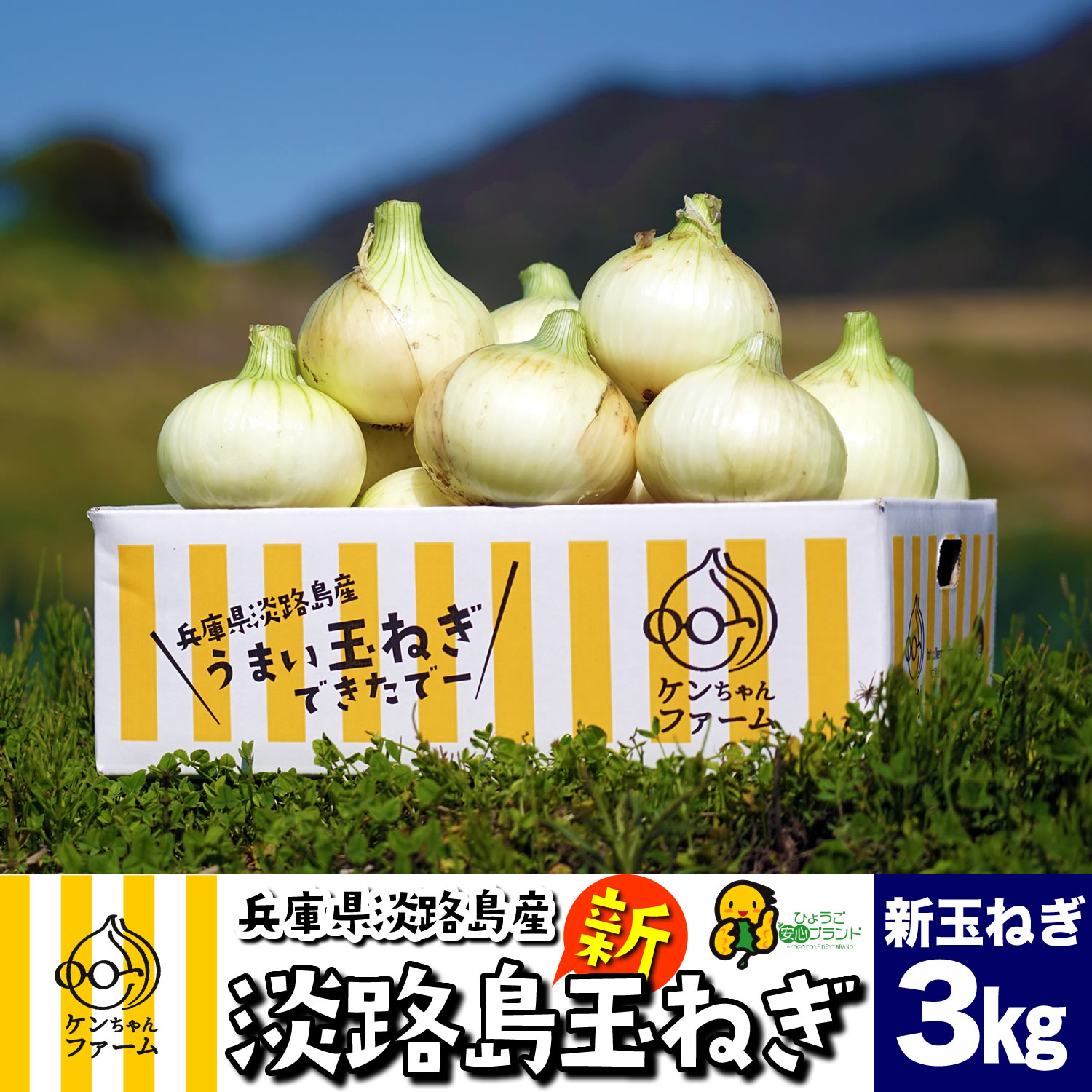 【税込 バラ売り】福岡県産他 万能ねぎ 100g 1袋 (ばんのうねぎ バンノウ）上越フルーツ