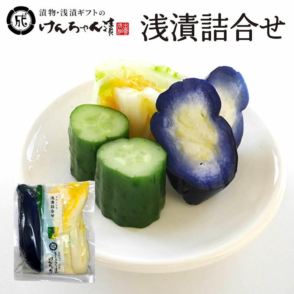 漬物 高級 おしゃれ 浅漬 【浅漬詰合せ】 白菜 なす きゅうり お取り寄せ 小分け ご飯のお供 パック 漬け物 つけもの 国産 手作り 野菜漬物 出雲の手づく...