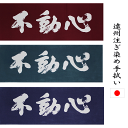 剣道 面手拭 手ぬぐい 不動心