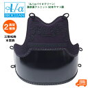 ◆ポイント2倍◆剣道 防具 50本ヤマト胴 A-1αバイオク...