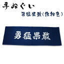 【あす楽】 剣道 手ぬぐい 面手拭 面タオル 本格染め ● 