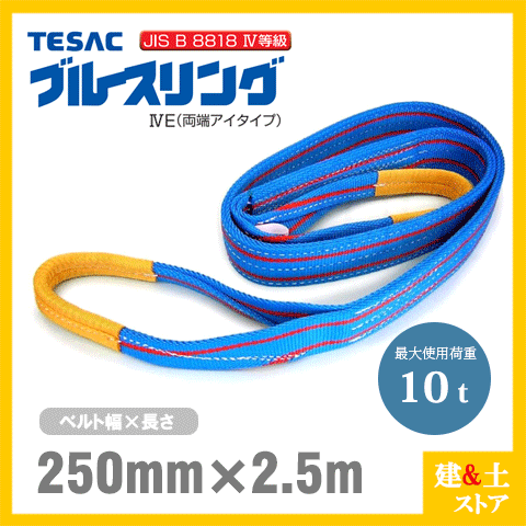 TESAC ブルースリング 250mm×2.5m(荷重10.0t) JIS4等級 両端アイタイプ ナイロンス...