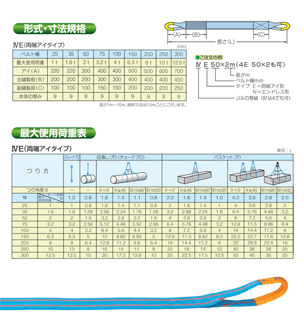 TESAC ブルースリング 250mm×2.5m(荷重10.0t) JIS4等級 両端アイタイプ ナイロンス...