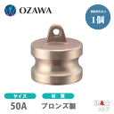 小澤物産 2インチ 50A OZCレバーカップリング ダストプラグ OZ-DP ブロンズ製 カムロック