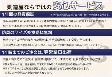 【アマビエ剣士シール付】剣道防具 垂れ ●3ミリ刺し紺・てまつり[Ta]　（●説明書）